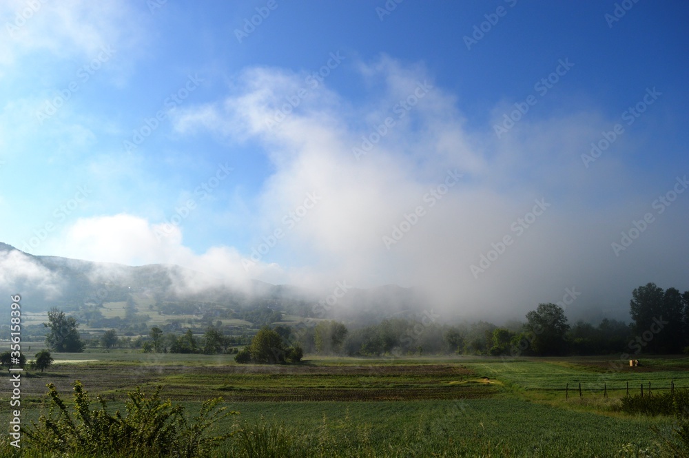 morning fog in spring