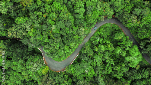 Aerial view of winding road trough the dense woods on the high mountain in Encumeada, Ribeira Brava, Madeira island.