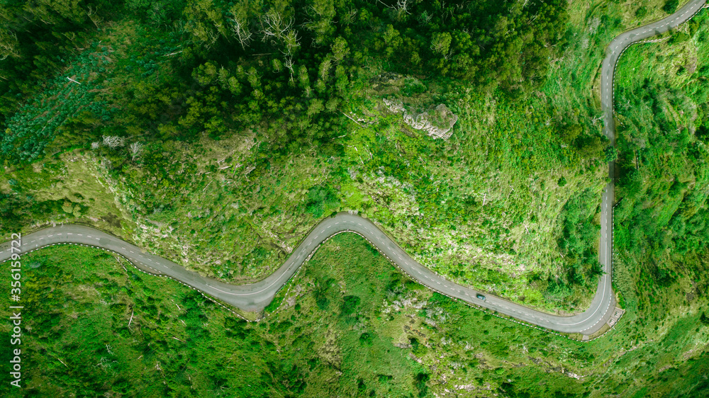 Aerial view of winding road trough the dense woods on the high mountain in Sao Vicente, Madeira island.