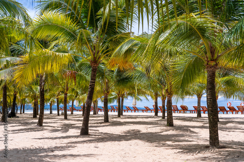 Coconut palm trees and sun loungers on white sandy beach near South China Sea on island of Phu Quoc, Vietnam. Travel and nature concept © OlegD