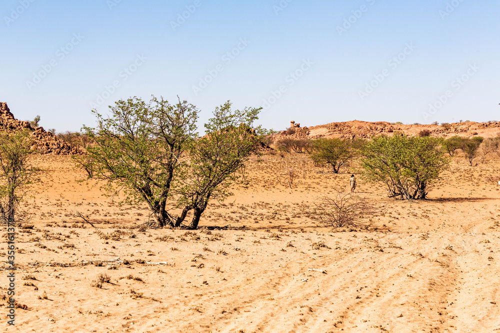 The namibian landscape