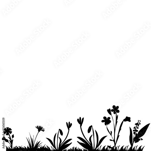 vector  on a white background  black silhouette of grass and flowers