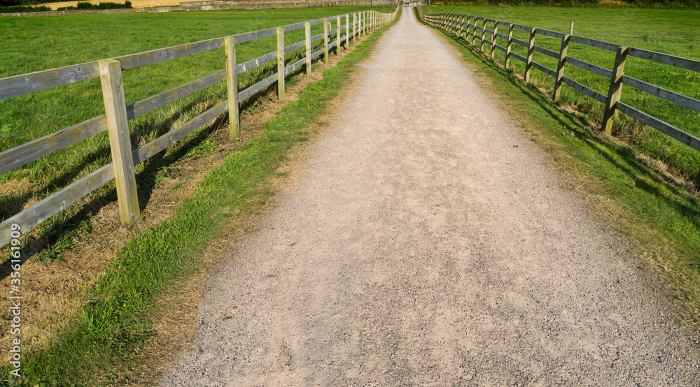 Rural road between a rustic wooden fence and planting fields. In Ireland Rural road between a rustic wooden fence and planting fields. In Ireland