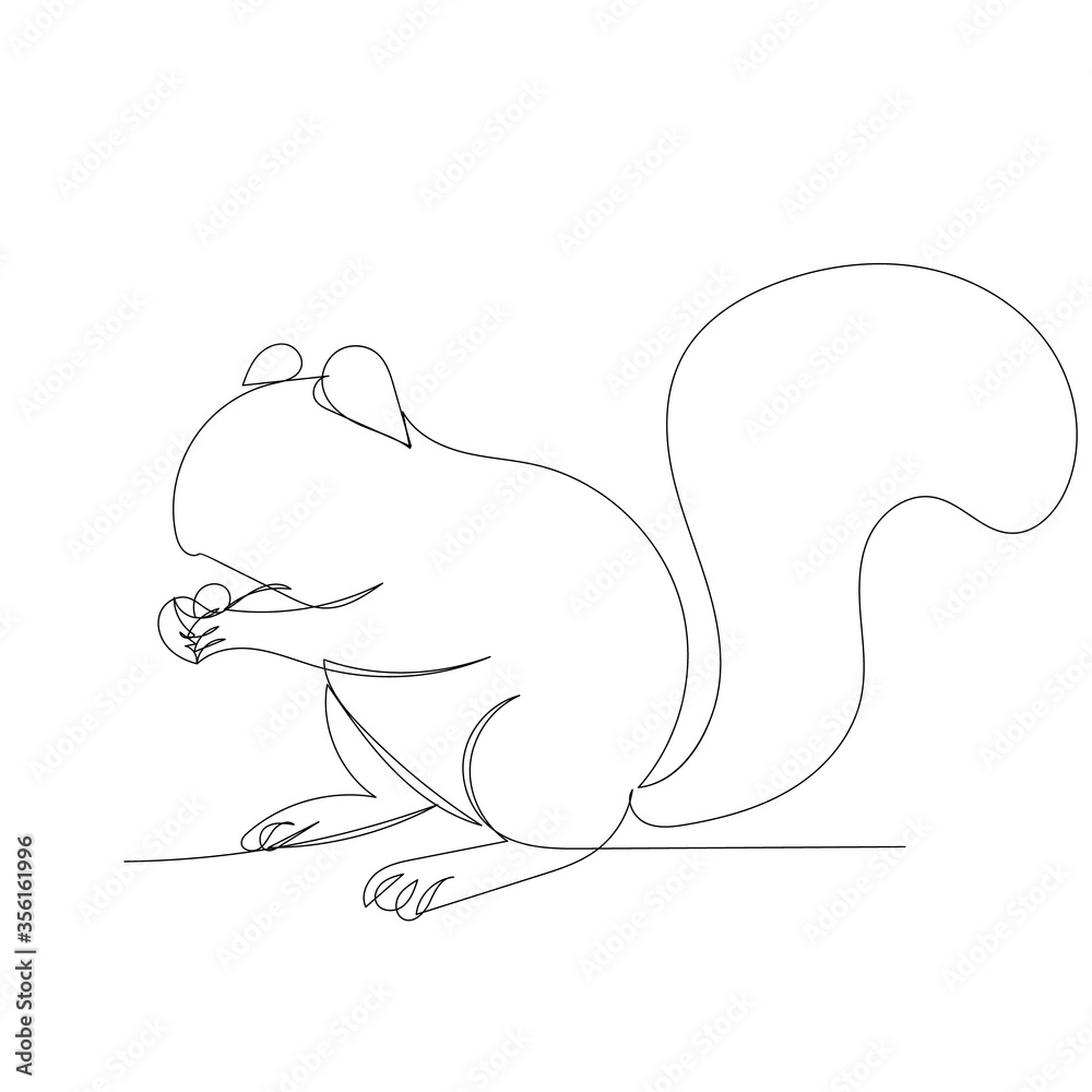 squirrel outline lines continuous vector squirrel outline lines continuous vector