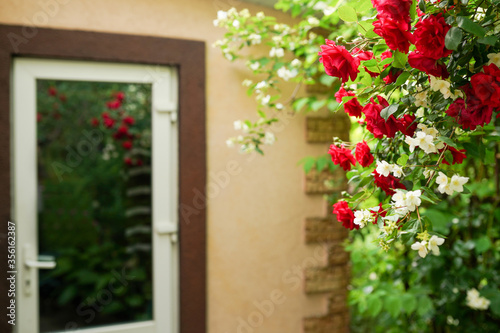 Fototapeta Naklejka Na Ścianę i Meble -  Landscaped front yard of a house with red roses flowers