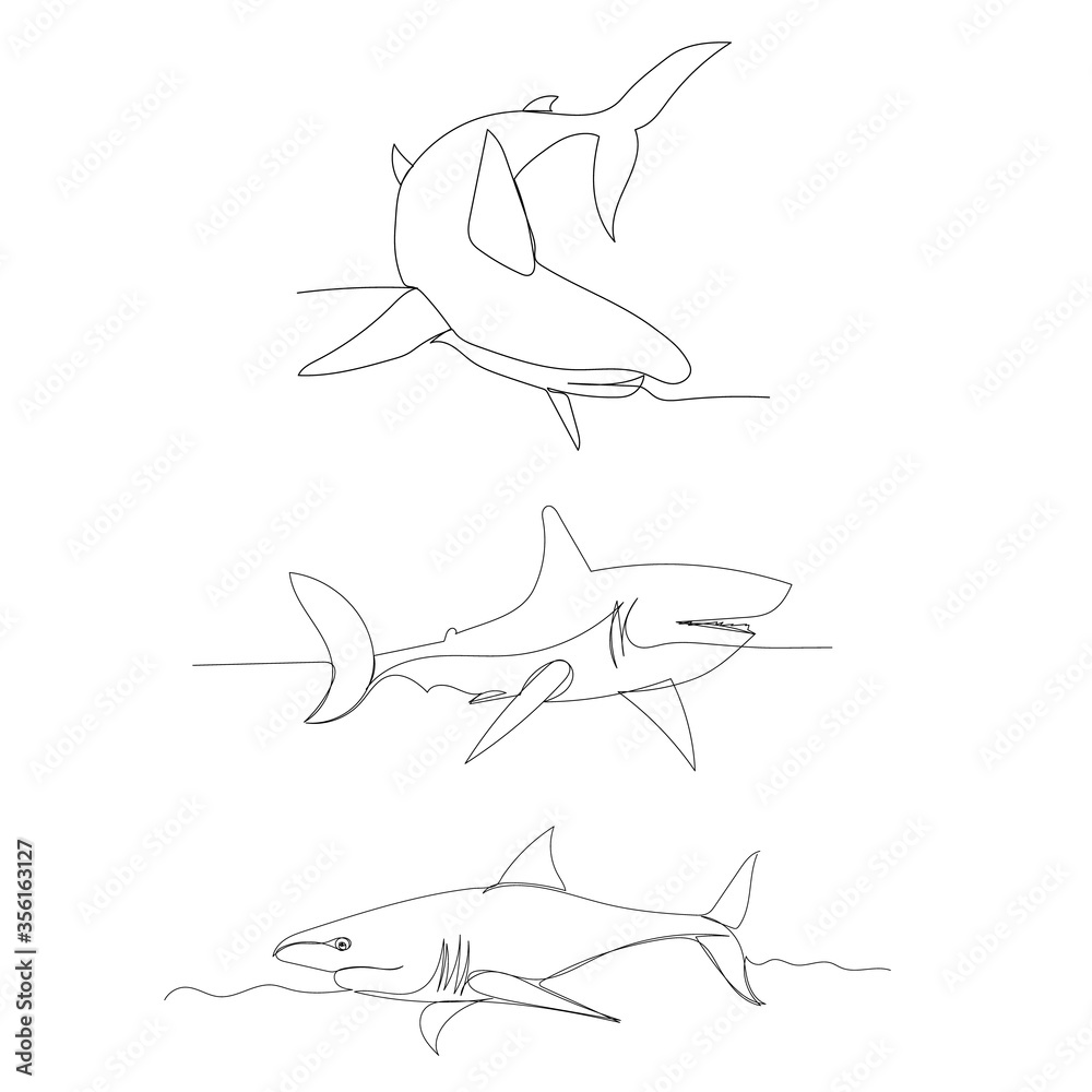 Obraz premium vector, isolated, shark continuous line drawing