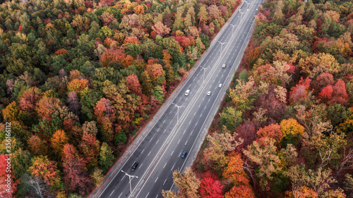 aerial view of road and colorful forest. drone shot. autumn landscape.
