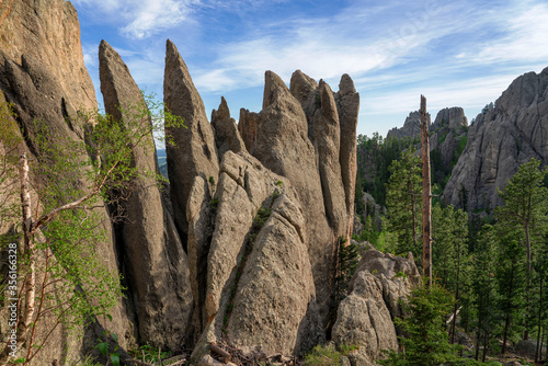 The needles are dramatic eroded granite pillars in the Black Hills of Custer State Park in South Dakota.