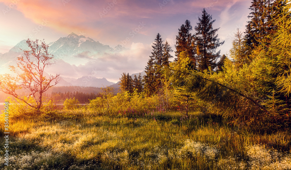 Awesome alpine Landscape under Sunlit. Scenic image, impressively beautiful Autumn nature at Sunset, with Colorful Sky. Picture of Wild area. Wonderful Picturesque Scene, Alpine valley. Creative image