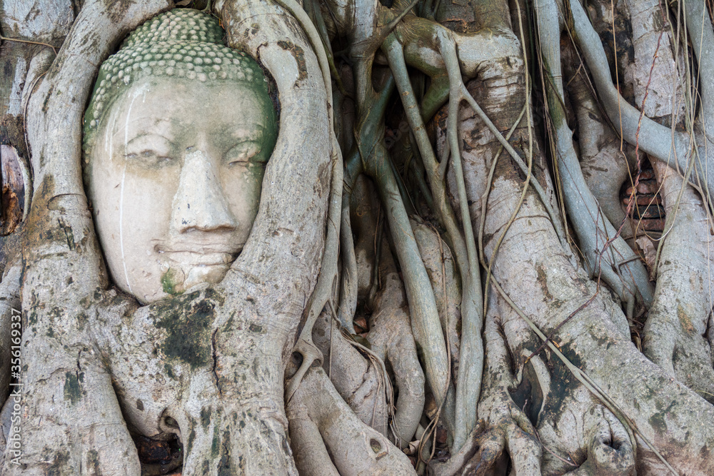 Head of sandstone Buddha in the tree roots. Wat Phra Mahathat, Ayutthaya, Thailand Head of sandstone Buddha in the tree roots. Wat Phra Mahathat, Ayutthaya, Thailand