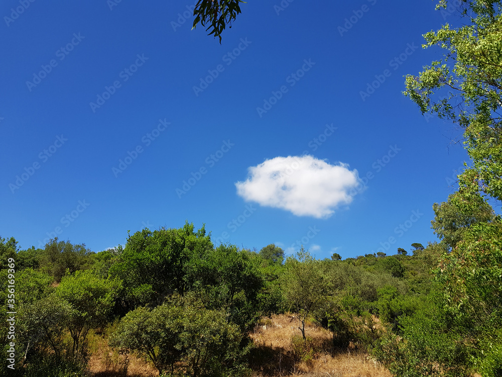 Paeasaggio di Sardegna