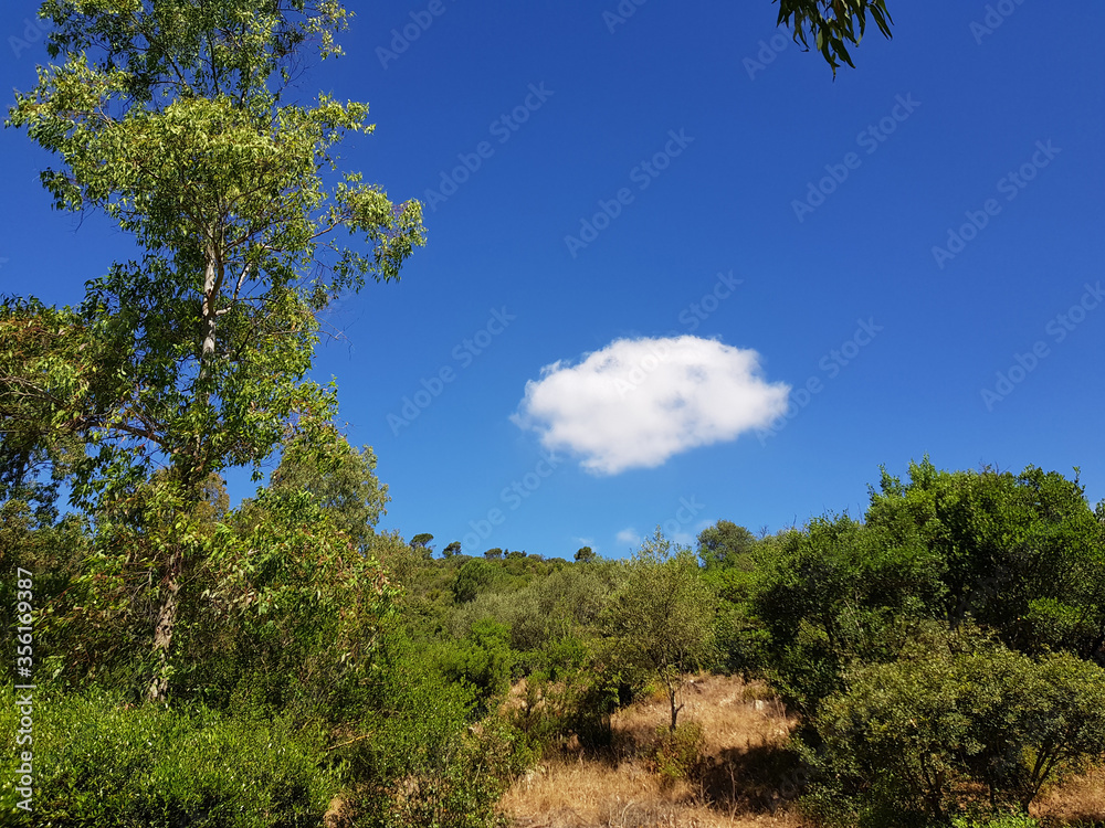 Paeasaggio di Sardegna Paeasaggio di Sardegna