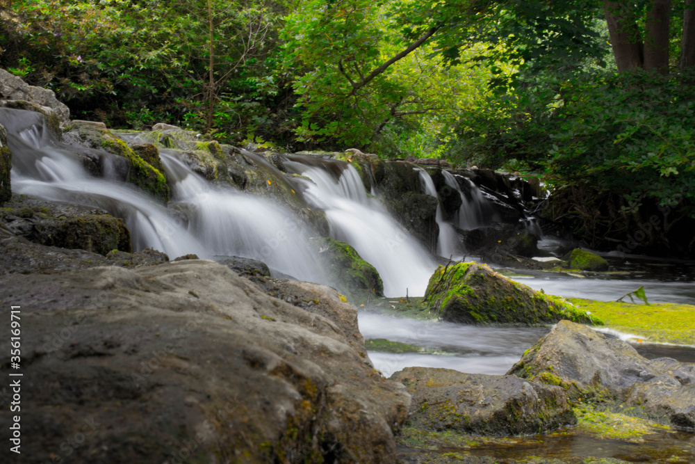 waterfall in the forest