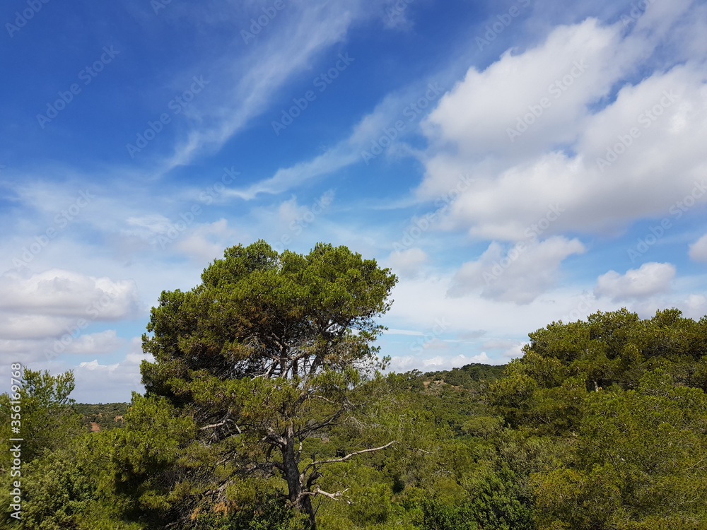 Paeasaggio di Sardegna