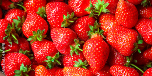 Strawberry ripe and juicy red berrie concept healthy eating. food background top view copy space for text