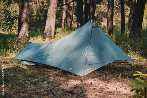 Ultralight tent in a pine forest. Sunny summer day.