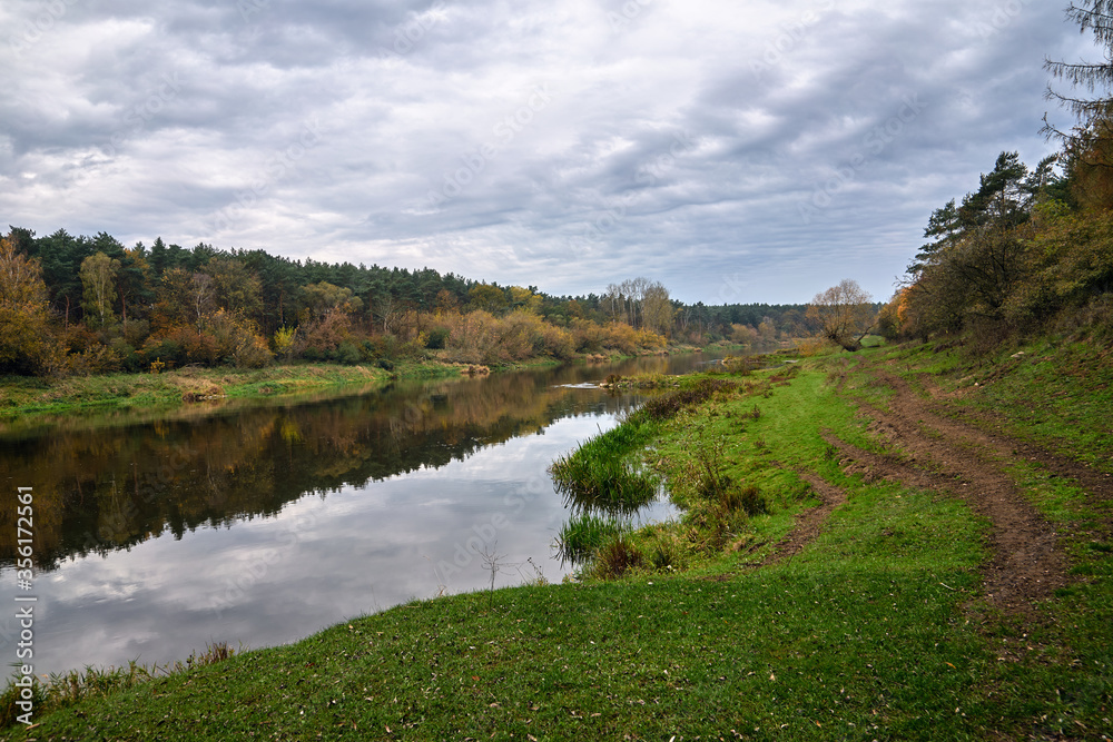 Meadows and deciduous trees on the Warta River during autumn in Poland.
