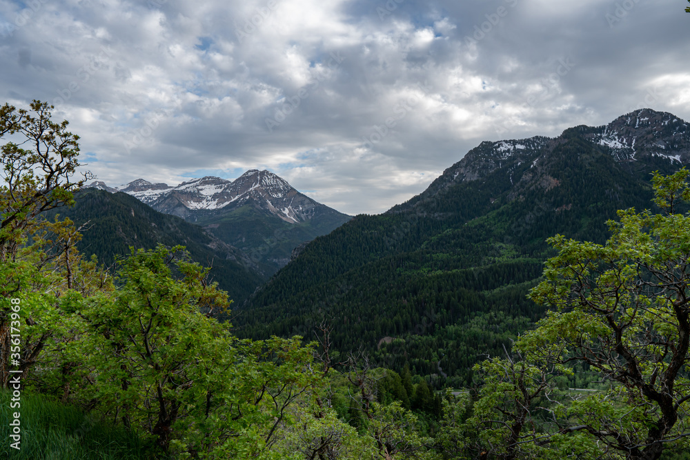 Rugged mountains with a forest in the foreground and snow still on the peaks Rugged mountains with a forest in the foreground and snow still on the peaks