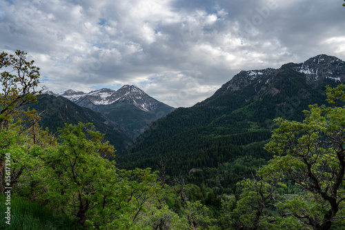 Rugged mountains with a forest in the foreground and snow still on the peaks