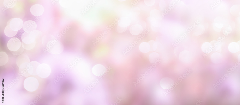 Blurred garden background with flowers with bokeh from sunlight, natural and light. Stray focus. Banner. Spring. Summer Blurred garden background with flowers with bokeh from sunlight, natural and light. Stray focus. Banner. Spring. Summer
