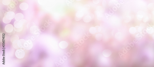 Blurred garden background with flowers with bokeh from sunlight, natural and light. Stray focus. Banner. Spring. Summer