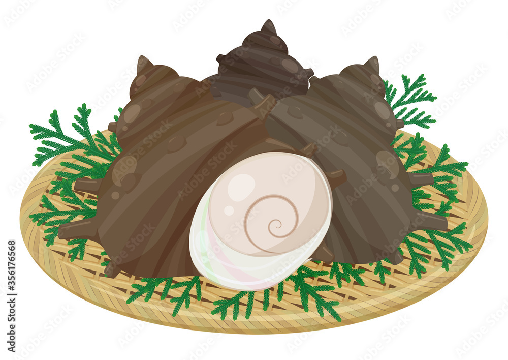 竹ザルに盛り付けたサザエのイラスト ヒバ ヒノキアスナロ Stock Vector Adobe Stock 竹ザルに盛り付けたサザエのイラスト ヒバ ヒノキアスナロ Stock Vector Adobe Stock