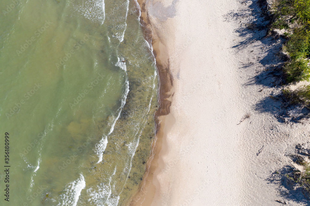 Top-down view of the sea beach. You can see the coastal bushes and waves running onto the sand. Shot on a drone.
