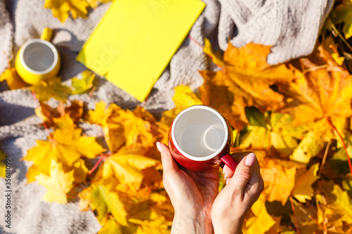 Female holding cup of coffee on autumn background. © Angelov