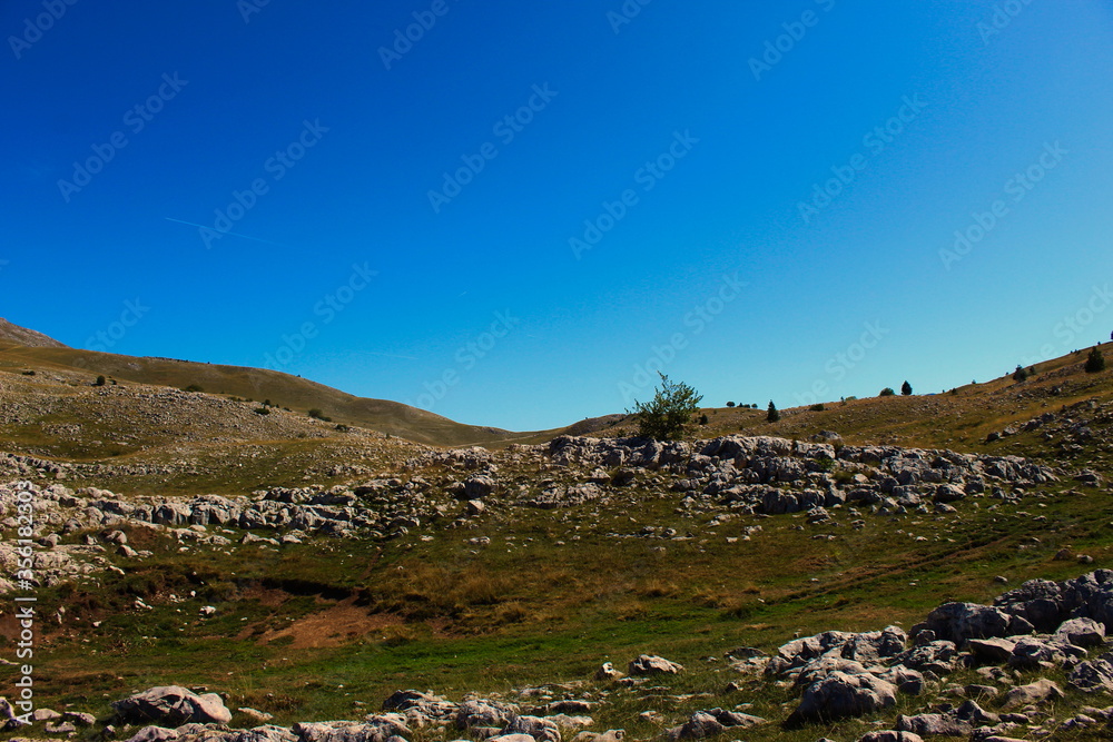 Karst on the mountain Bjelasnica, a lot of stones, meadows and a few trees. Bjelasnica Mountain, Bosnia and Herzegovina. Karst on the mountain Bjelasnica, a lot of stones, meadows and a few trees. Bjelasnica Mountain, Bosnia and Herzegovina.