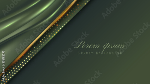luxury background cloth green color with sparkle line golden , deluxe modern concept. vector illustration for backdrop design.