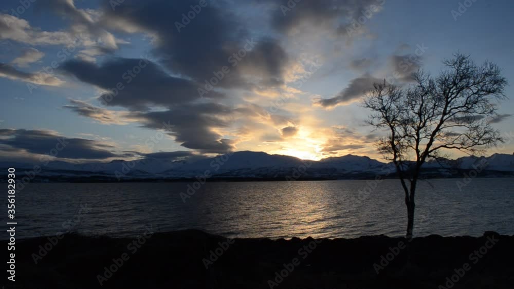 golden sunset over snowy mountain and blue fjord with small trees in front golden sunset over snowy mountain and blue fjord with small trees in front