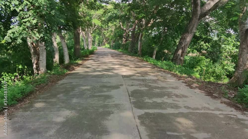 POV Riding a motorcycle on cement road with big trees. Thailand. POV Riding a motorcycle on cement road with big trees. Thailand.