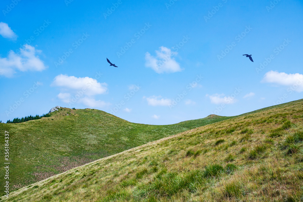 Awesome mountain landscape, nature and its beauty withs a flock of birds, located on the Red Mountain, Romania. Awesome mountain landscape, nature and its beauty withs a flock of birds, located on the Red Mountain, Romania.