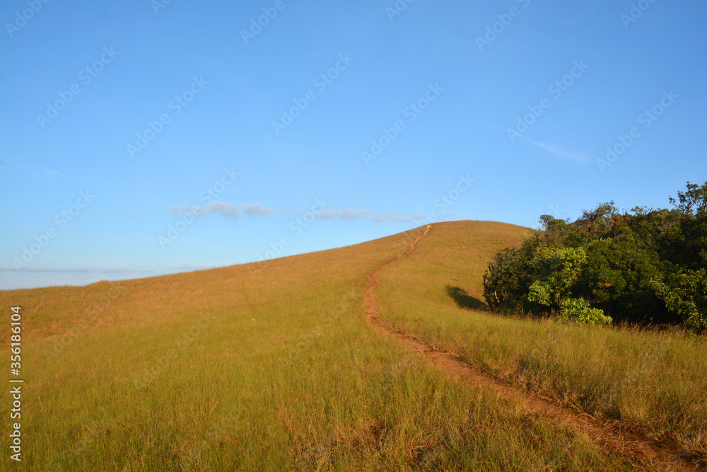 mountains brown grass and blue sky landscape