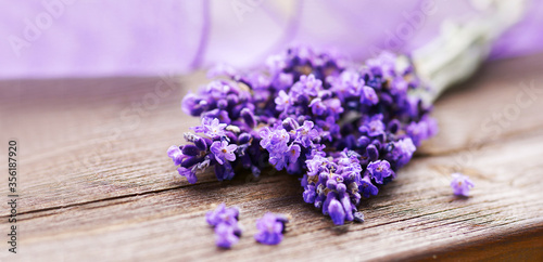 Lavender with bow on wooden board  banner  headline