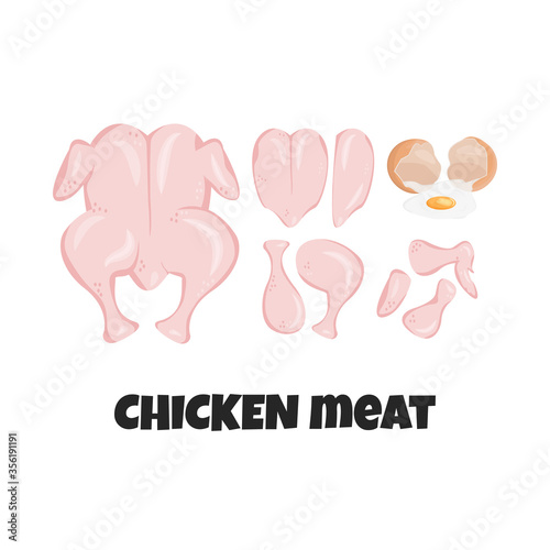 Vector flat set of raw fresh chicken meat parts isolated. Concept design of whole chicken, breast, breast halves fillets and drumsticks for cook. Pieces of turkey, hen, ingredients of carnivore diet