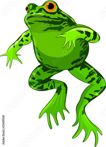 green toad with warts vector