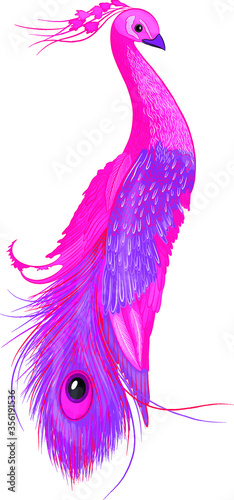 fairy bird peacock pink purple