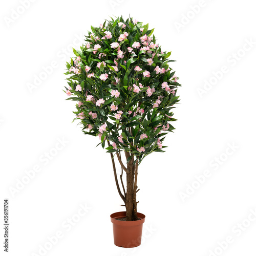 Artificial oleander tree with pink buds like real as modern evergreen ecological decoration for interiors of house, malls, restaurants. isolated on white background