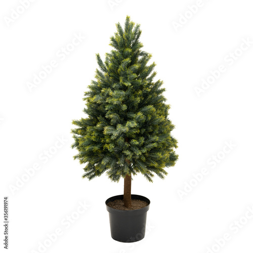 Artificial spruce tree like real as modern evergreen ecological decoration for interiors of house, malls, restaurants. isolated on white background for design collage