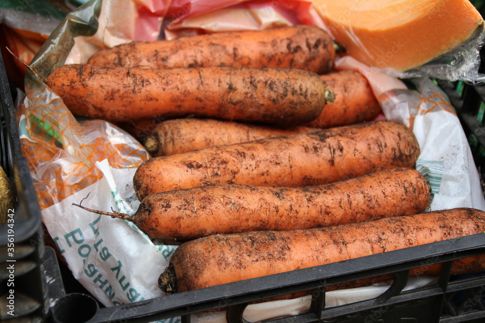 carrots, chernozem, carrots from the ground carrots, chernozem, carrots from the ground