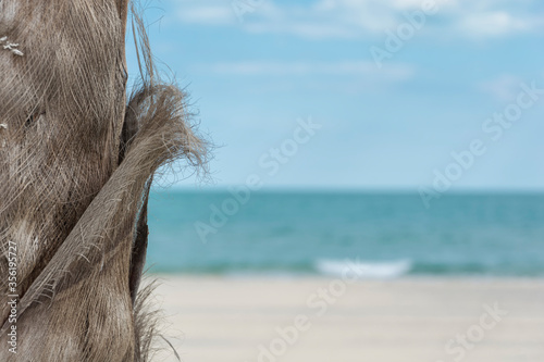 Stunning sea views on a warm and sunny summer day. Copy space. Landscape view. Relaxing amazing view to stunning sandy beach blue turqouise water. photo