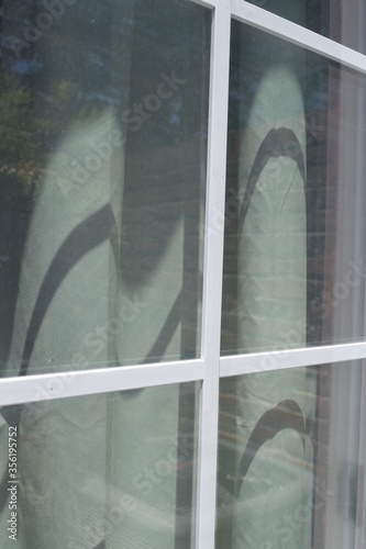 Glass reflecting the garden behind