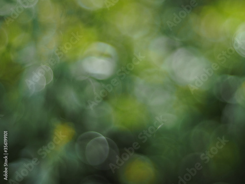 Bright green circles, abstract bokeh background.