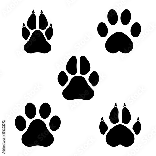 Footprints of animals. Imprint of a tiger's, trace of the cat. Paw of an animal, canine lion, traces of dog paws.