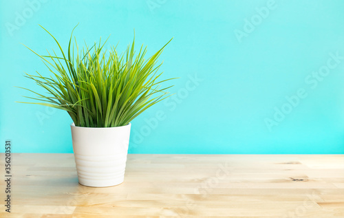 Grass in white pot on wood table