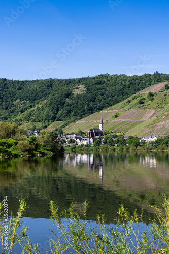With the bike on the cycle path through the countryside along the river Moselle in Rhineland-Palatinate from Trier to Koblenz in summer © Julia Hermann