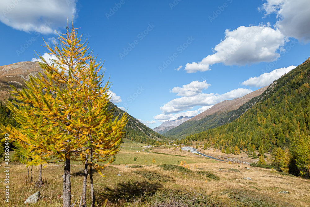 Forcola pass and valley of Livigno