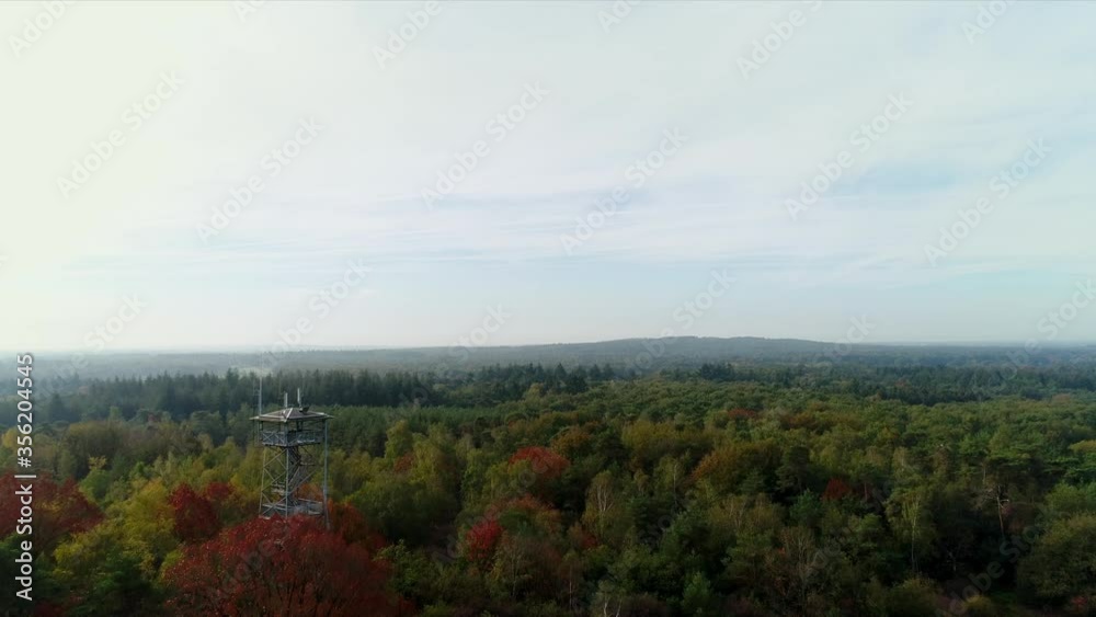 WS POV Landscape with forest and old lookout tower / Ommen, Drenthe, Netherlands WS POV Landscape with forest and old lookout tower / Ommen, Drenthe, Netherlands