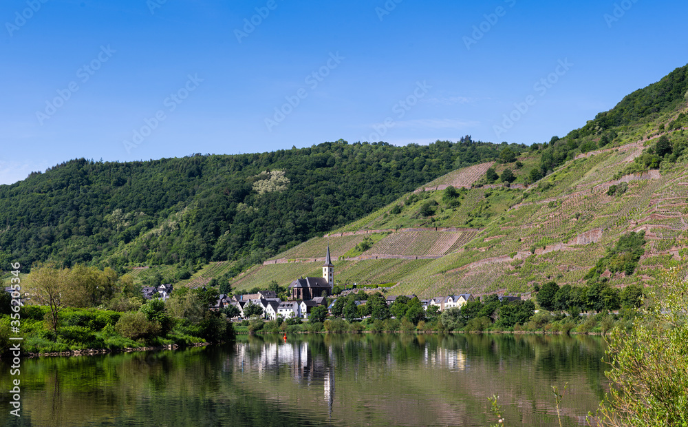With the bike on the cycle path through the countryside along the river Moselle in Rhineland-Palatinate from Trier to Koblenz in summer With the bike on the cycle path through the countryside along the river Moselle in Rhineland-Palatinate from Trier to Koblenz in summer